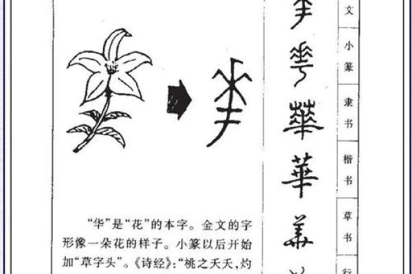 姓乌的名人-姓名学-华易算命网姓名