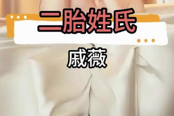 戚姓女孩名字大全-戚姓女孩起名字大全-戚姓名字大全姓名