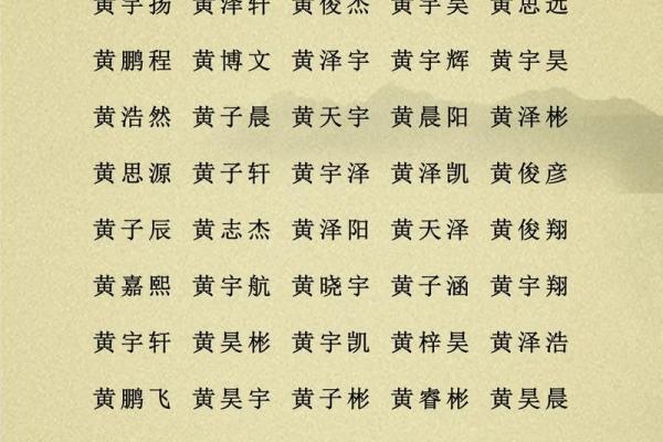 2019年5月28号丑时出生的男孩应该起什么样的名字姓名