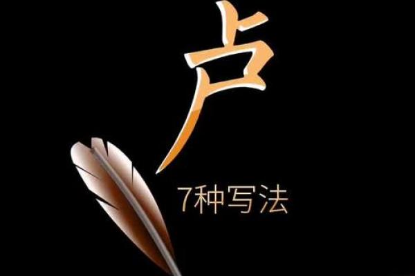 卢姓男孩名字大全-卢姓男孩起名字大全-卢姓名字大全姓名