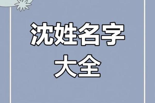 沈姓女孩名字大全-沈姓女孩起名字大全-沈姓名字大全姓名