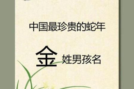 2019年3月23号辰时出生的男孩如何起名姓名