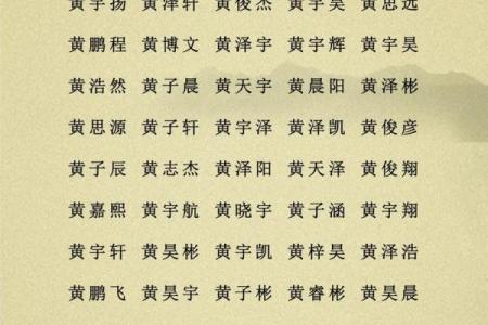 2019年5月28号丑时出生的男孩应该起什么样的名字姓名