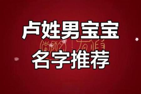 卢姓男孩名字大全-卢姓男孩起名字大全-卢姓名字大全姓名