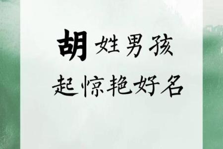 2019年6月6号卯时出生的男孩起名方法姓名