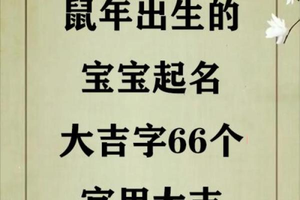 属鼠辰时出生的男孩宜用什么字取名字，怎样取名字姓名