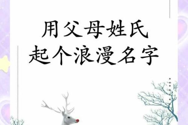 属鼠辰时出生的男孩宜用什么字取名字，怎样取名字姓名