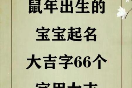 属鼠辰时出生的男孩宜用什么字取名字，怎样取名字姓名