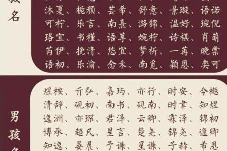 2019年3月22号丑时出生的女孩如何起名姓名