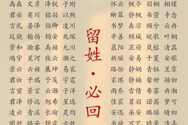 2019年4月17号卯时出生的男孩要怎么起名字姓名