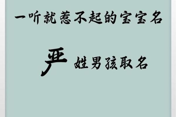 严姓女孩名字大全-严姓女孩起名字大全-严姓名字大全姓名