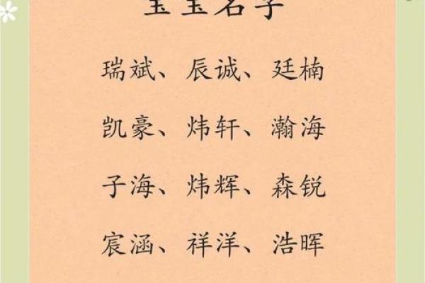 2019年5月24号寅时出生的男孩应该起什么样的名字姓名