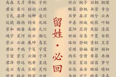 2019年4月17号卯时出生的男孩要怎么起名字姓名
