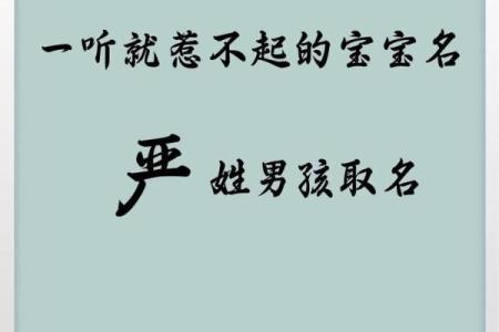 严姓女孩名字大全-严姓女孩起名字大全-严姓名字大全姓名