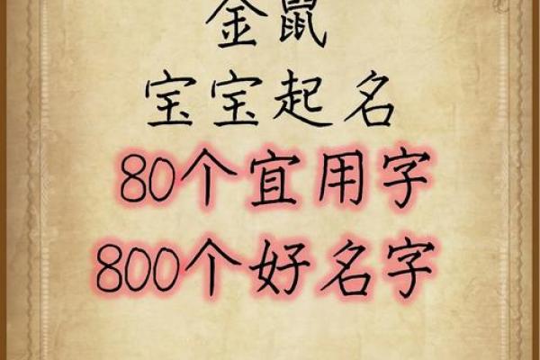 什么字适合给晚上11点出生的属鼠男孩起名姓名