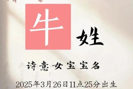 早上8点出生的属牛男孩怎么样起名，宜用什么字姓名