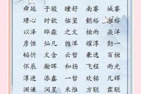 晚上11点出生的属虎男孩如何起名，应用什么字姓名
