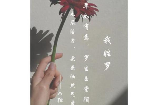 姓罗的名人-姓名学-华易算命网姓名