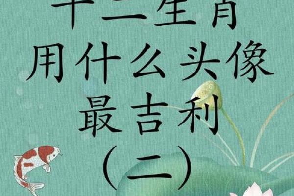 8月份出生的属鸡男孩起什么名字好姓名