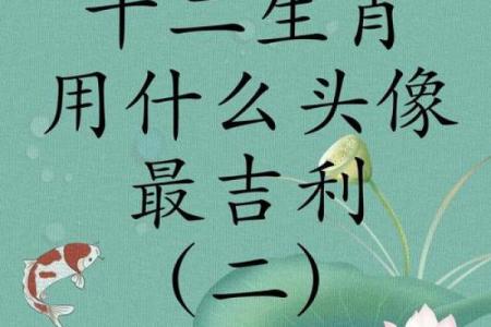 8月份出生的属鸡男孩起什么名字好姓名