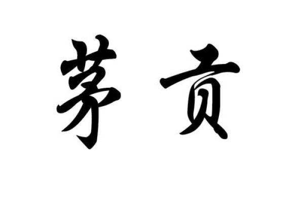 茅姓男孩名字大全-茅姓男孩起名字大全-茅姓名字大全姓名