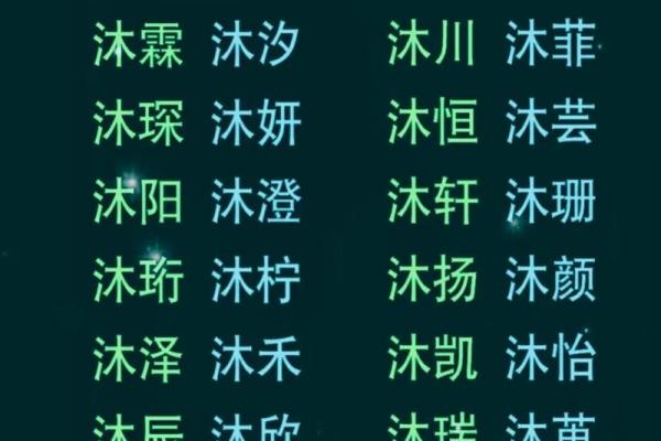 诸姓男孩名字大全-诸姓男孩起名字大全-诸姓名字大全姓名