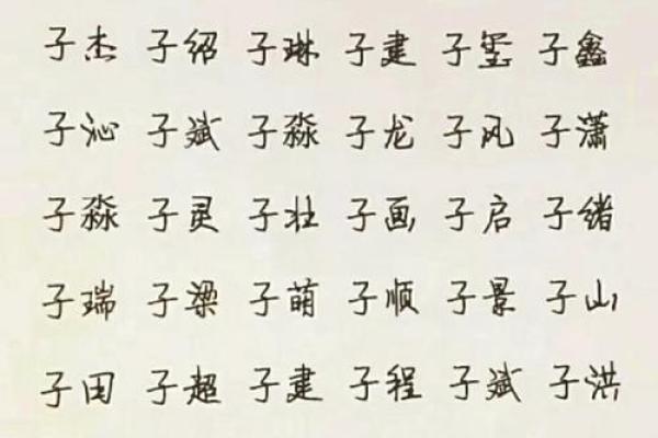 中午1点出生的属鸡男孩取名字适合用哪些字姓名