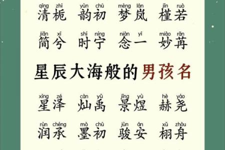 2019年3月9号子时出生的男孩应该起什么样的名字姓名