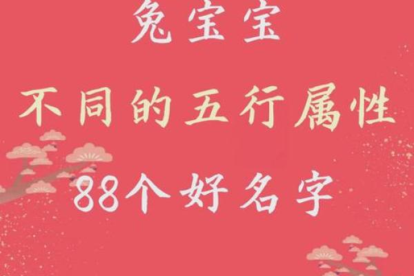 600个适宜2011年兔宝宝的吉祥好名字-姓名学-姓名分析姓名