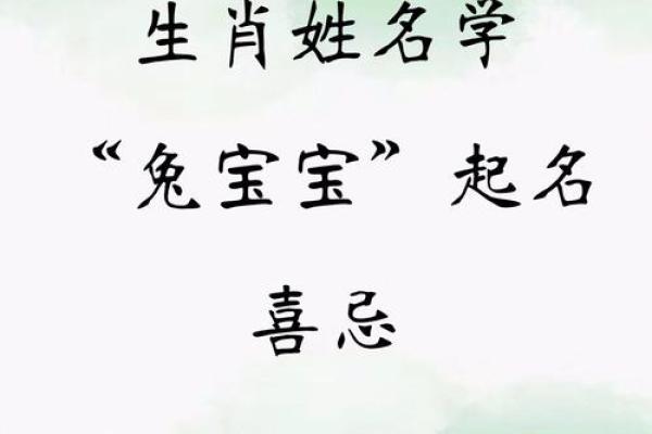 2011年兔宝宝取名的10项思路参考-姓名学-姓名分析姓名