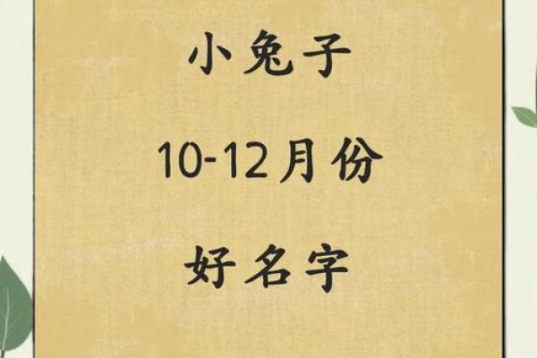 2011年兔宝宝取名的10项思路参考-姓名学-姓名分析姓名