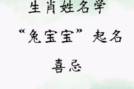 2011年兔宝宝取名的10项思路参考-姓名学-姓名分析姓名