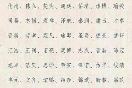 2019年5月13号卯时出生的男孩应该起什么样的名字姓名