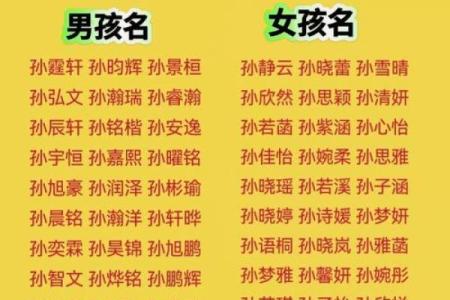 2019年6月13号子时出生的男孩起名方法姓名