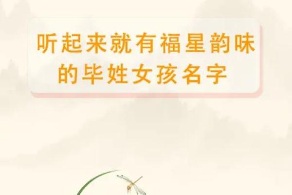 毕姓男孩名字大全-毕姓男孩起名字大全-毕姓名字大全姓名