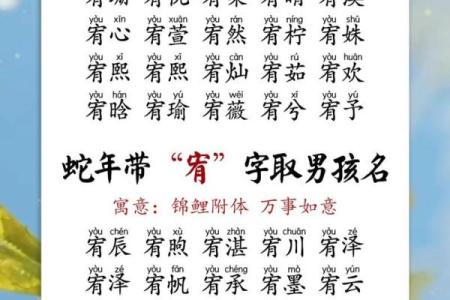 2019年3月27号丑时出生的男孩起名方法姓名