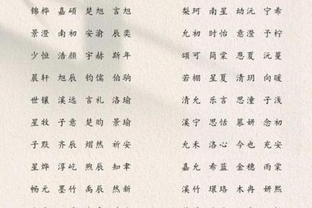 2019年6月5号子时出生的男孩如何起名姓名
