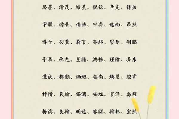 2019年3月18号辛时出生的男孩如何起名姓名