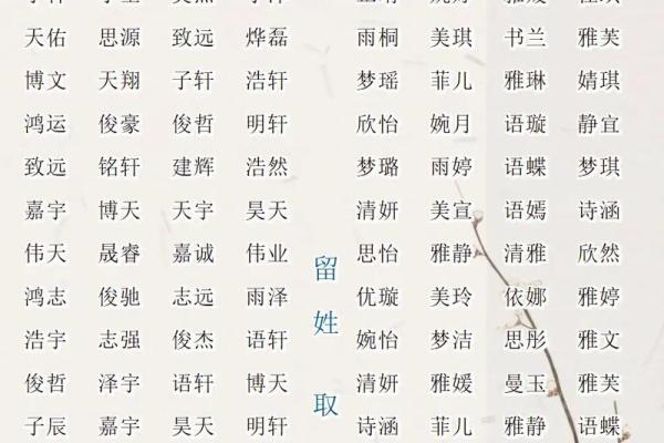 费姓男孩名字大全-费姓男孩起名字大全-费姓名字大全姓名