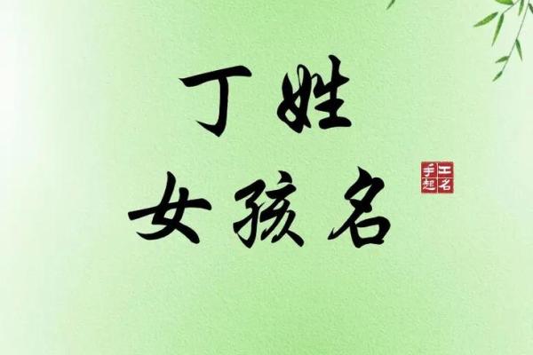 姓丁的名人-姓名学-华易算命网姓名