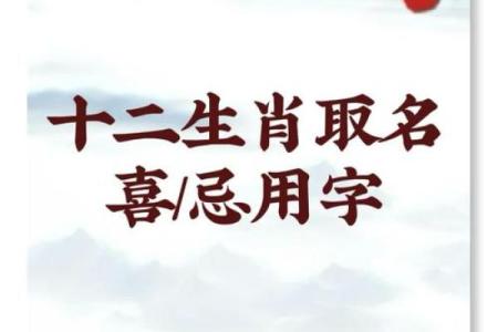 属兔辰时出生的男孩最好用什么字取名姓名