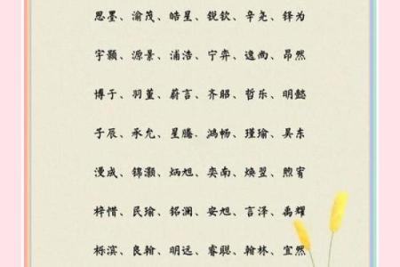 2019年3月18号辛时出生的男孩如何起名姓名