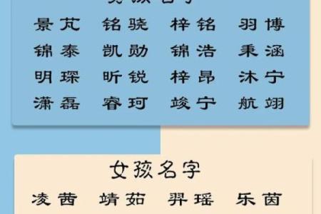 2019年4月22号子时出生的男孩应该起什么样的名字姓名