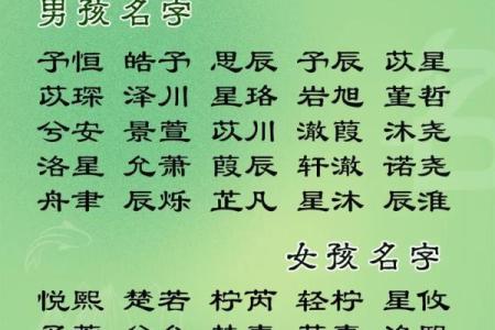 2019年3月30号卯时出生的男孩起名方法姓名