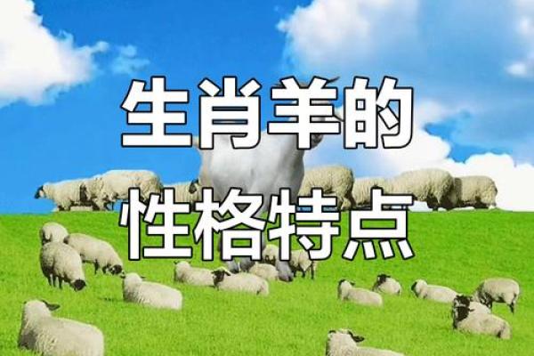 早上十点出生的属羊男孩如何起名，适合什么字姓名