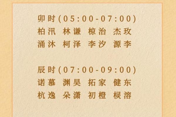 2019年3月30号辰时出生的男孩起名方法姓名