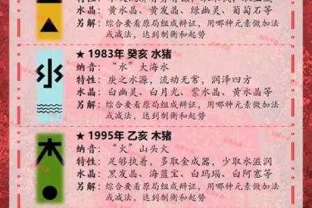 如何给属猪申时出生的男孩取个好名字姓名
