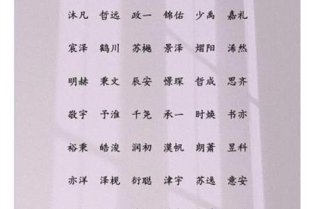 2019年5月8号丑时出生的男孩如何起名姓名