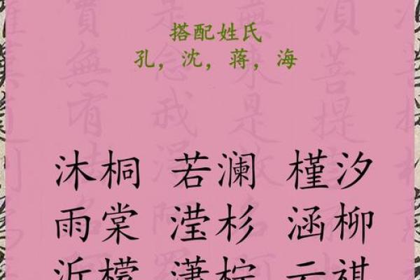 2021年立春出生男宝宝五行缺火起名姓名