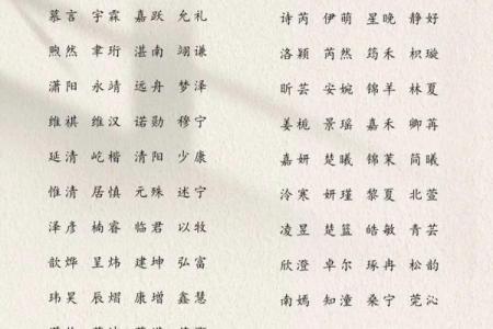下午5点出生的属蛇男孩要如何起名，适合用什么字姓名